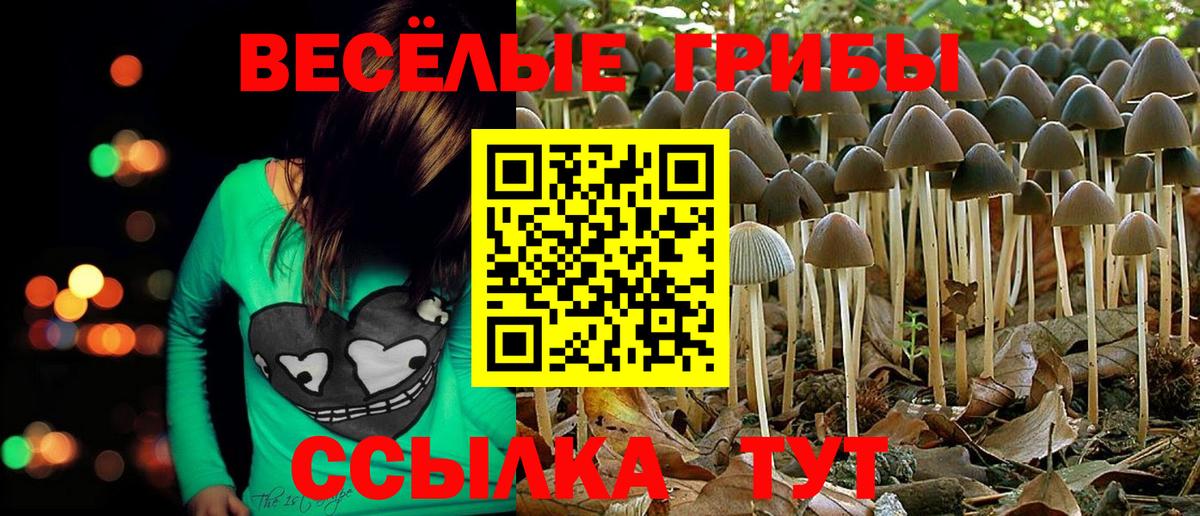 Галлюциногенные грибы прущие грибы Ялта