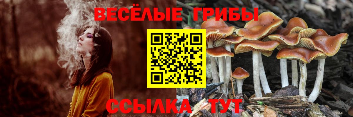 Codein Ялта